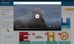 [g-help.net] [HAL] TVgid